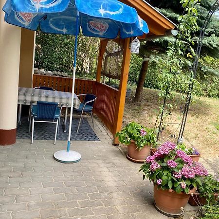 Katalin App. Zalagyoengye Zalakaros Exterior foto